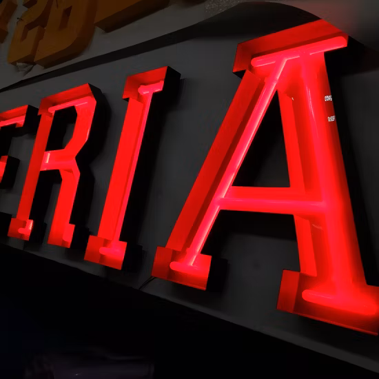 Neon Windows Display Modern LED Letters Illuminated 12V Signs Channel Letter